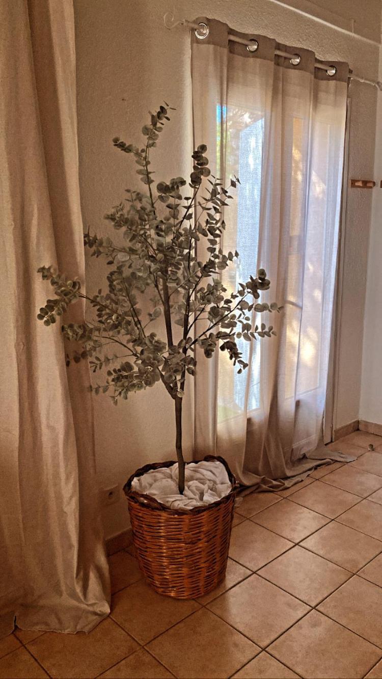 Le Mas Du Bosc Leilighet Mauguio Eksteriør bilde